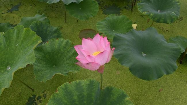 경산시 실비보험 추천 - 개인 맞춤형 보험 설계로 경제적 부담 줄이기 관련 이미지