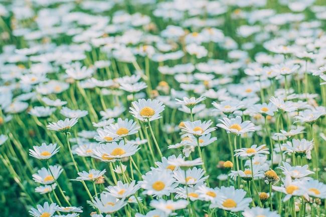 달서구 최고의 보험 설계사 추천 – 개인 맞춤형 재무 상담으로 안정적인 미래 준비 관련 이미지