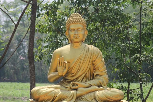 경산시 연금보험 추천: 삼성생명과 삼성화재의 차별점 분석 관련 이미지