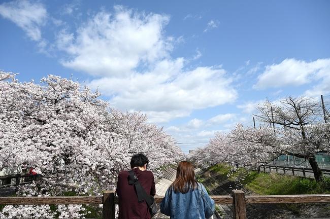 용인시 삼성화재 다이렉트 보험 설계사 차이점과 최적화된 보험 설계 관련 이미지