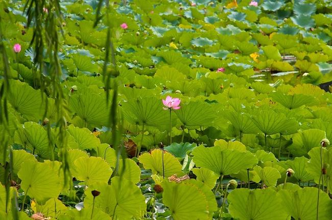 수원 영통구 현대해상 태아보험 비교견적, 맞춤형 설계로 안정적 미래 준비