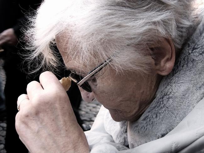 청주시 서원구 유병자보험, 전문가의 맞춤형 보험 상담 관련 이미지