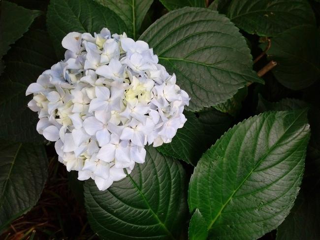 시흥시 현대해상 보험설계사 비교견적, 맞춤형 보험의 중요성