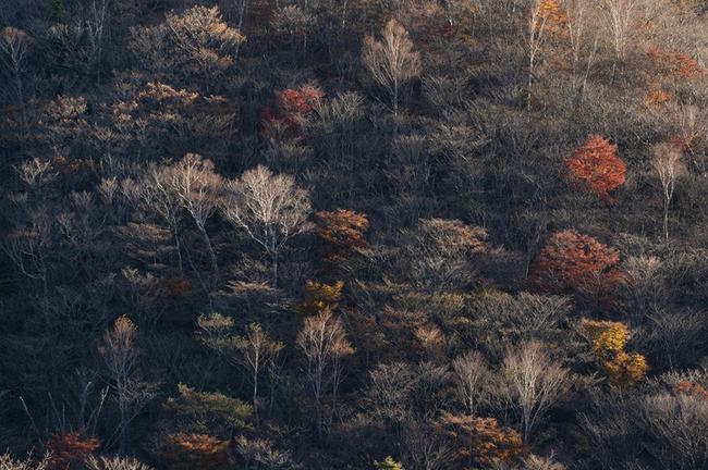 보성군 현대해상 보험리모델링 보장분석으로 최적의 보험 설계하기