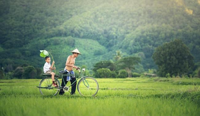 용인시 기흥구 현대해상 보험설계사 비교견적, 스마트하게 보험 설계하기 관련 이미지