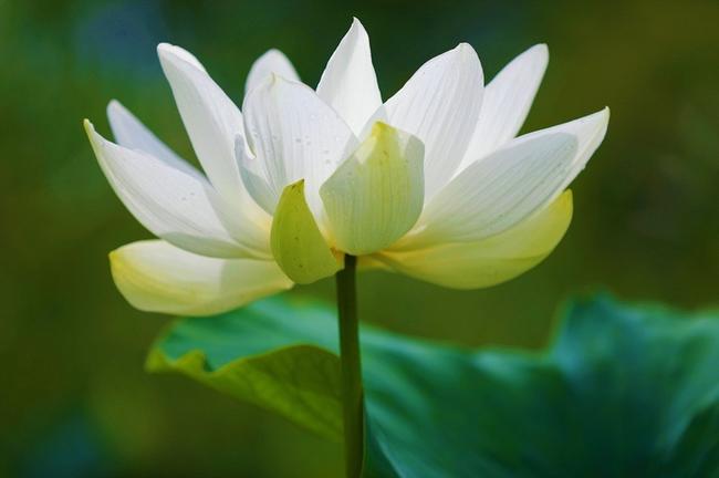 마산해양신도시 현대해상 건강보험, 맞춤형 보장 분석으로 재무 부담 줄이기