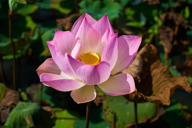 삼척시 현대해상 실비보험 보장분석: 개인 맞춤형 보험 설계의 필요성
