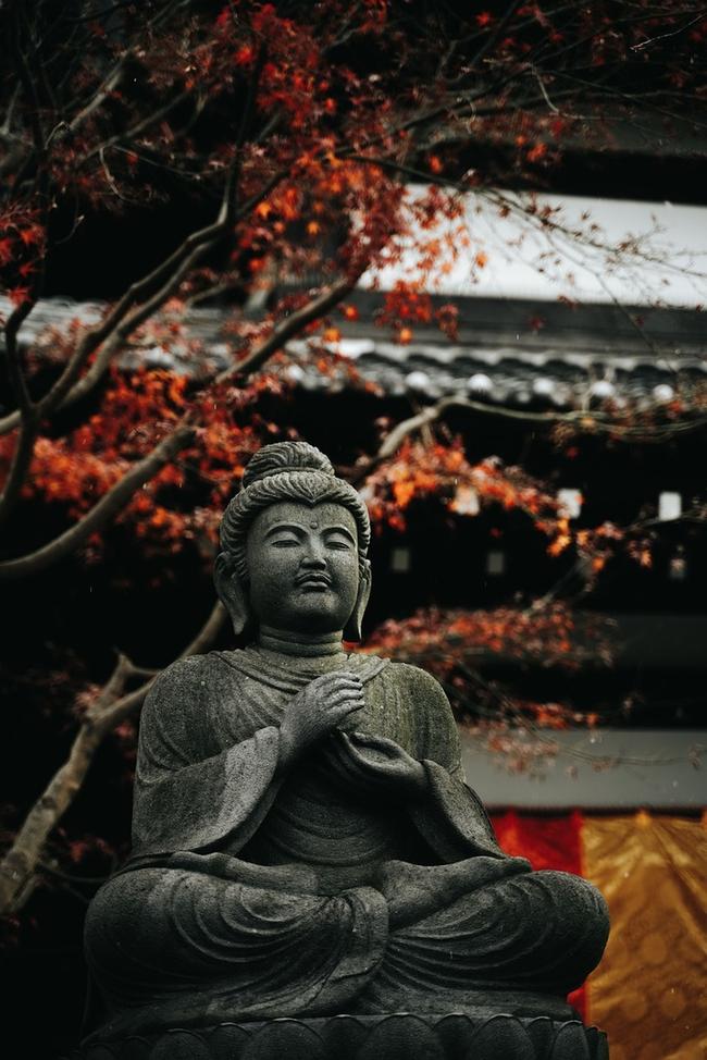 청도군 현대해상 종합보험 보장분석: 맞춤형 보험 설계로 재무 안정성 확보 관련 이미지