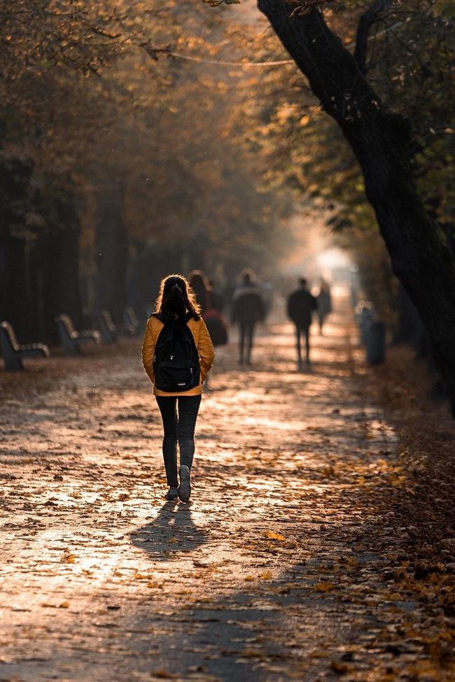 현대해상 보험 리모델링 후기: 개인 맞춤형 보험 설계의 필요성 관련 이미지