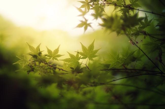 예산군에서 추천하는 현대해상 보험설계사, 맞춤형 금융 상담 제공 관련 이미지