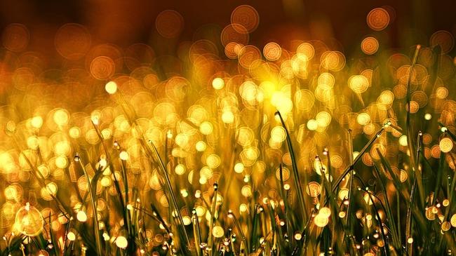 고성군 현대해상 연금보험, 전문가의 맞춤형 추천으로 재무 안정성 확보