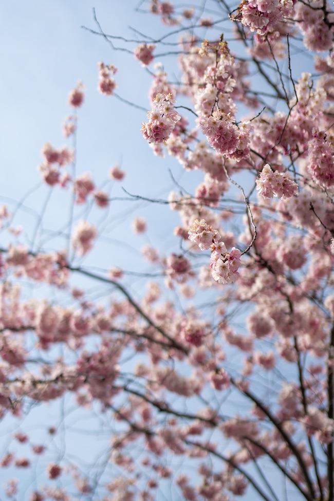 부산 강서구 현대해상 보험리모델링, 최적의 비교견적으로 재무 설계 완벽하게!