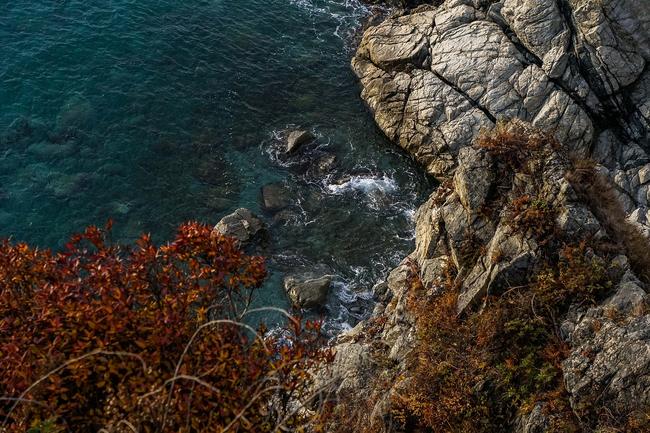 부산 동래구 현대해상 태아보험, 맞춤형 보장 분석으로 안전한 미래 준비하기 관련 이미지