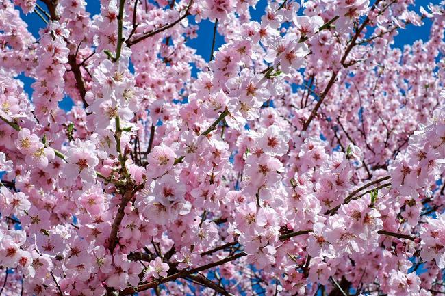 광주 광산구 어린이보험 전문가 추천 - 맞춤형 보험 설계로 안전한 미래 준비 관련 이미지