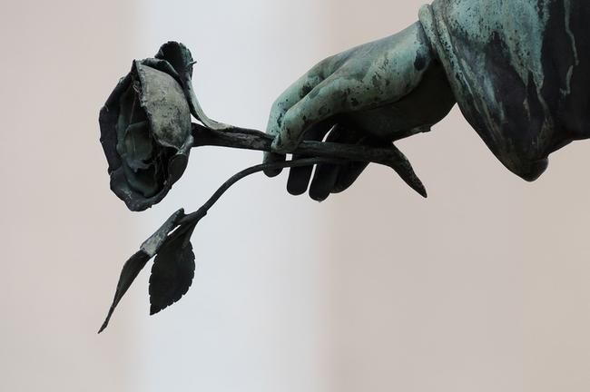 부산 서구 한화생명 보험 비교, 최적의 보험 설계로 재무 안정성 확보 관련 이미지