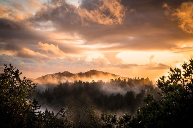산본신도시 한화생명 운전자보험, 최적의 보험 설계로 안전한 운전 생활 관련 이미지