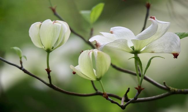 창원시 의창구 한화생명 연금저축펀드, 개인 맞춤형 설계로 안정적 노후 준비 관련 이미지