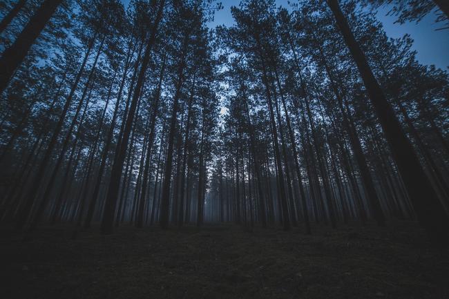 영천시 한화생명 첫 보험 가입 시기, 최적의 보험 설계로 재무 관리 시작하기 관련 이미지